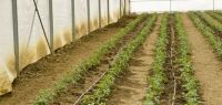Indagro 09