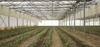 Indagro 01