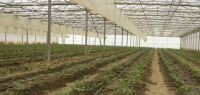 Indagro 03