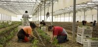 Indagro 05