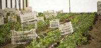 Indagro 06