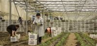 Indagro 07